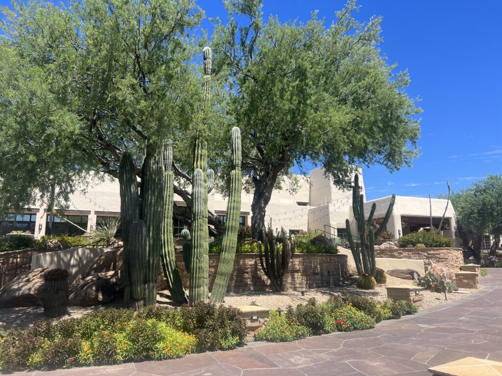 JW Marriott Camelback Inn Scottsdale Arizona