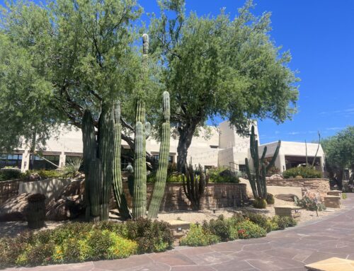 A Spa Weekend at JW Marriott Camelback Inn